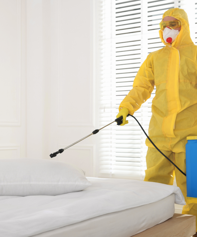 Professional Pest Control Team in Lynton